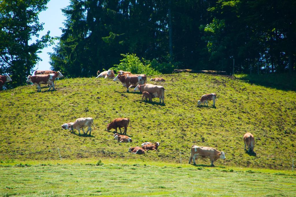 Gasthof Koglerhof Ternberg Bagian luar foto